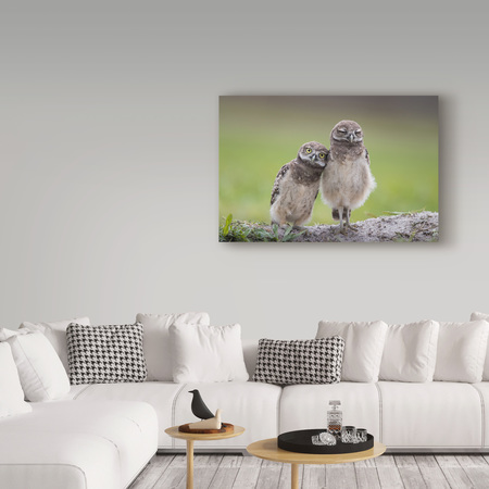Trademark Fine Art Greg Barsh 'Friends Owls' Canvas Art, 16x24 1X07078-C1624GG